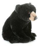 12 Inch Blackstone Teddy Bear - By Aurora World