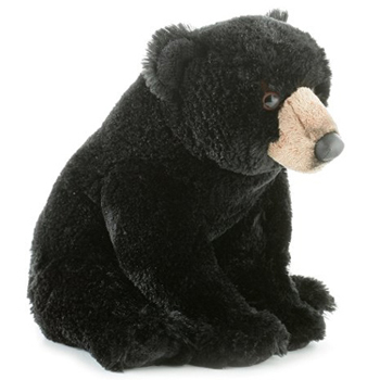 Blackstone Teddy Bear Aurora World